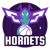 Charlotte Hornets