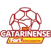 Brazilian Campeonato Catarinense Division 1