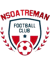 Nsoatreman FC