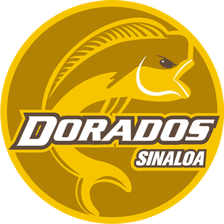 CSyD Dorados