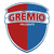 Gremio Prudente